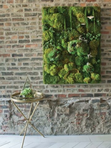 22. DIY Moss Wall Art