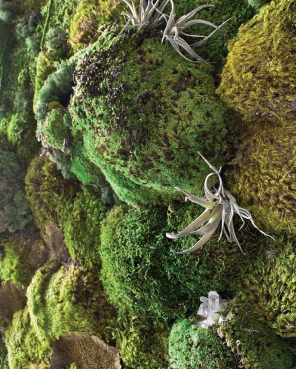 6. How To Make A Faux Living Moss Wall