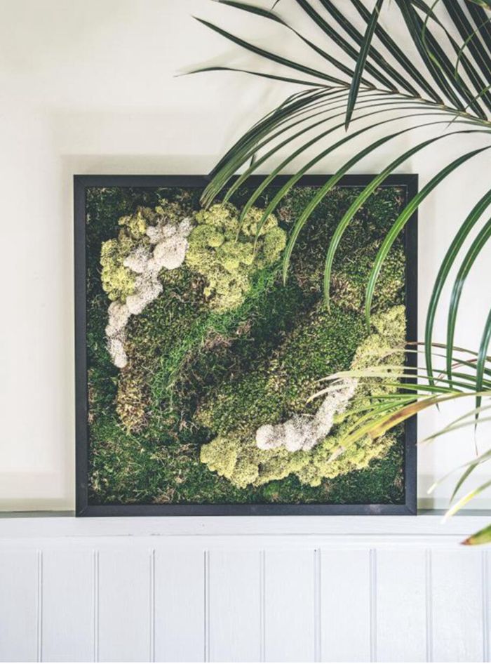 7. Preserved Moss Wall Art