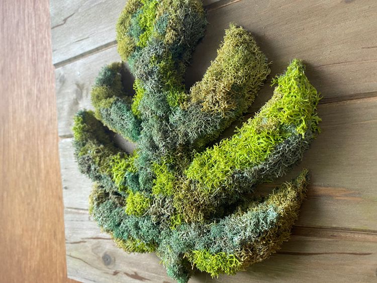 8. How To DIY A Preserved Moss Wall