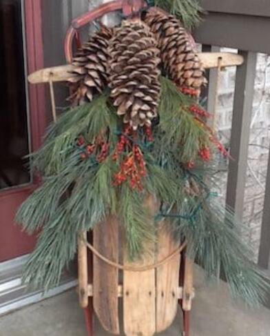89. Old Sled with Evergreen and Pinecones