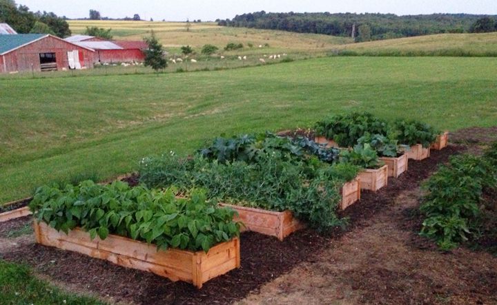 10. Cedar Raised Bed