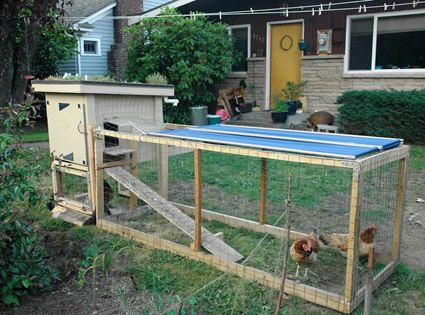 11. Low-Cost Chicken Coop