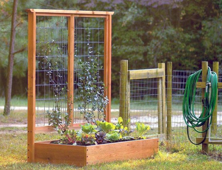 11. Raised Bed with Trellis