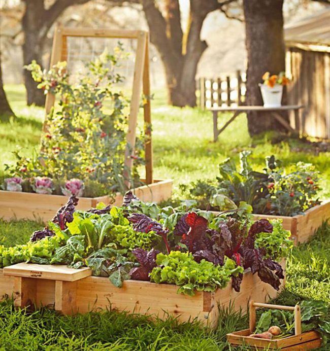 12. Square Raised Bed with Seats