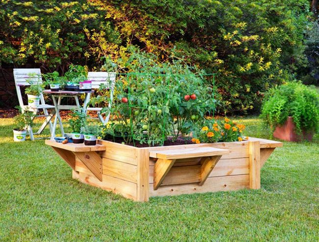 13. Higher Raised Bed with Benches