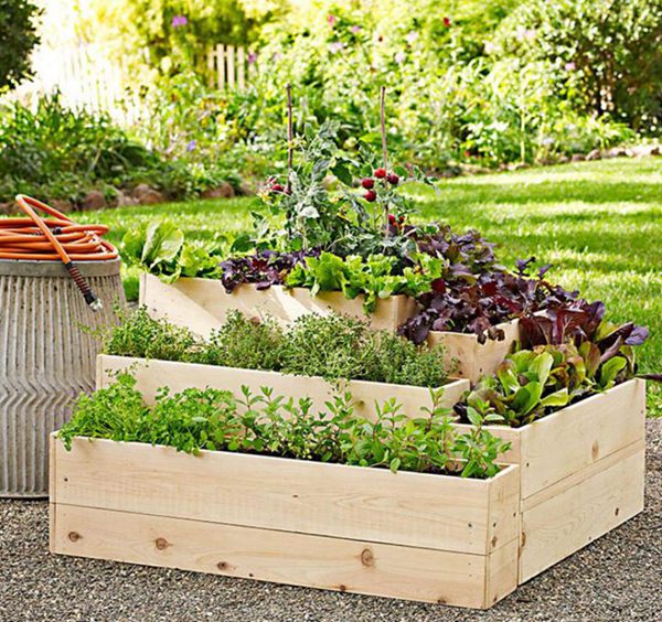 14. Box Design Wood Raised Bed