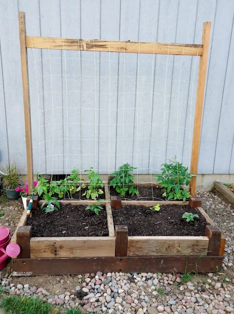 22. Subdivided Bed with Trellis