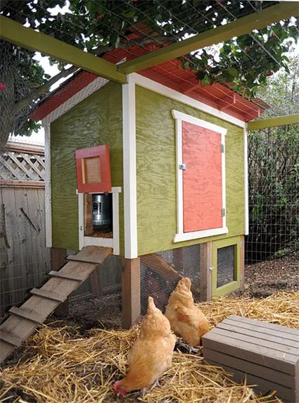3. Urban Chicken Coop Plan