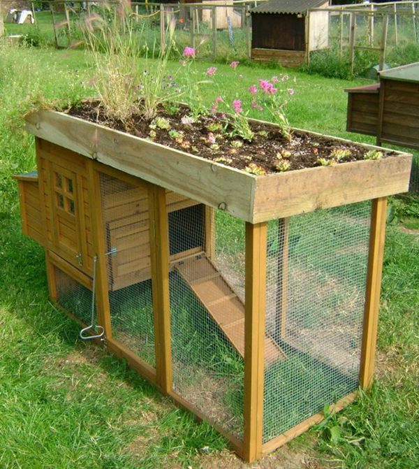 33. Raised Bed Combined with a Chicken Coop