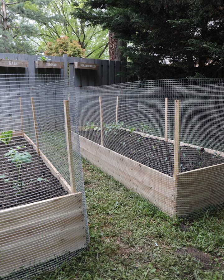 4. Raised Bed with Metal Fence