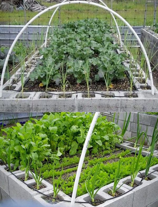 40. Cinder Block Filled with Soil