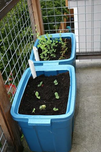 42. Apartment Style Raised Bed
