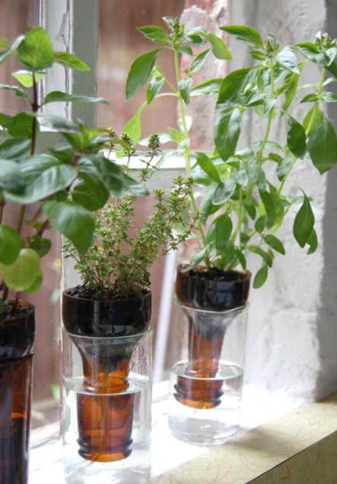 53. Glass Bottle Planter