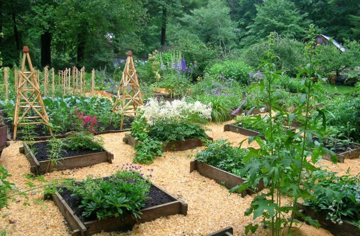 6. Summertime Raised Bed