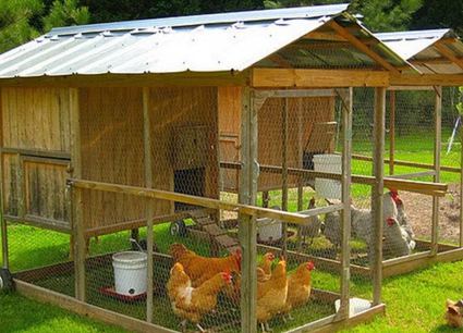 67. Livestocking Chicken Coop