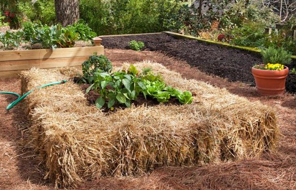 68. Straw Raised Bed