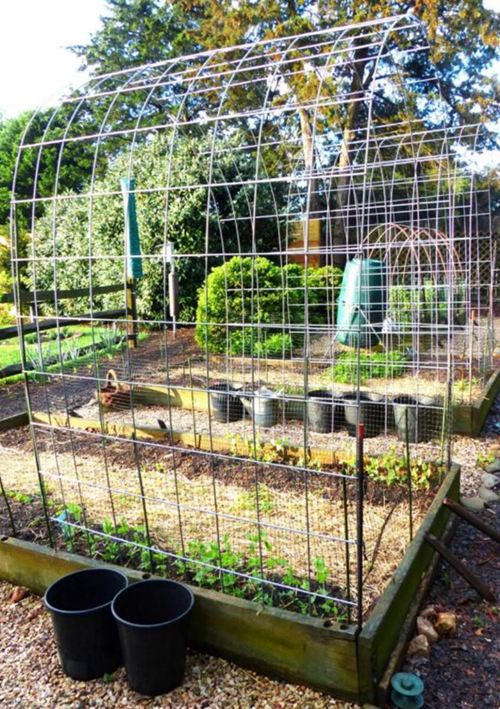 70. Raised Bed with Cattle Panels