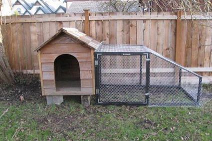 71. Dog House Coop