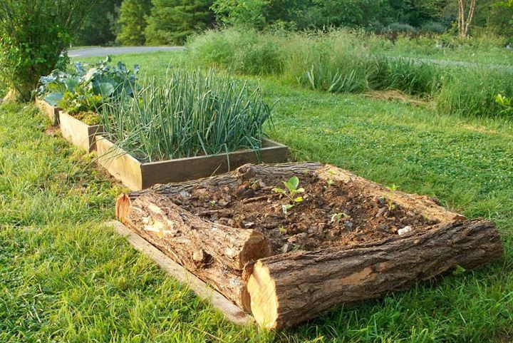 73. Wood Logs as a Retaining Wall For your Raised Beds