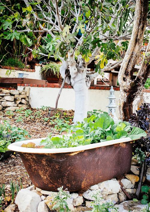 80. Bathtub Garden