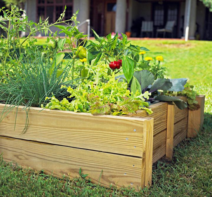 Simple Raised Bed with 4 X 4 Posts