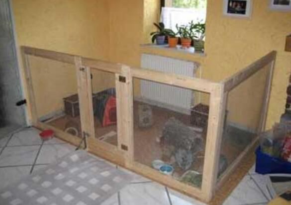 10. Spacious Guinea Pig Cage