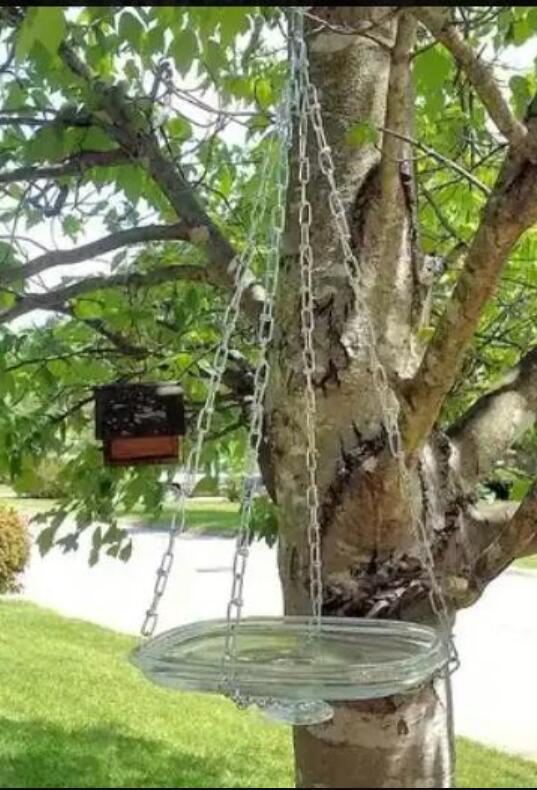 11. Glass-lid Hanging Bird Bath
