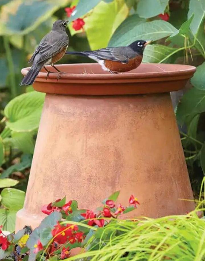 16. The Easy Bird Bath