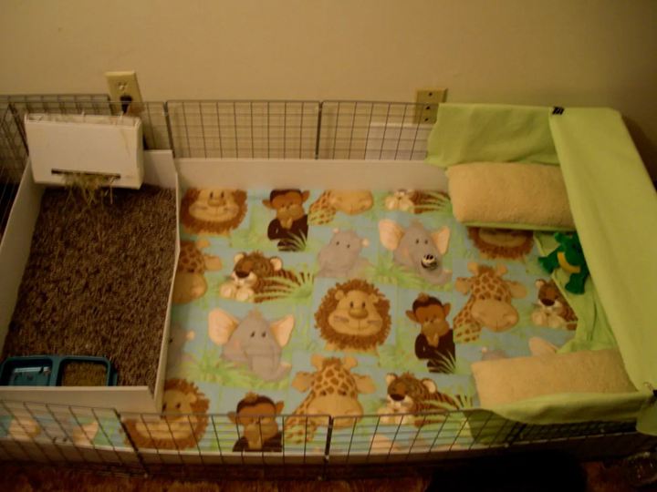 20. C & C Cage with Blankets