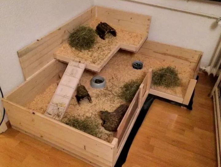 25. Double-Story Guinea Pig Cage