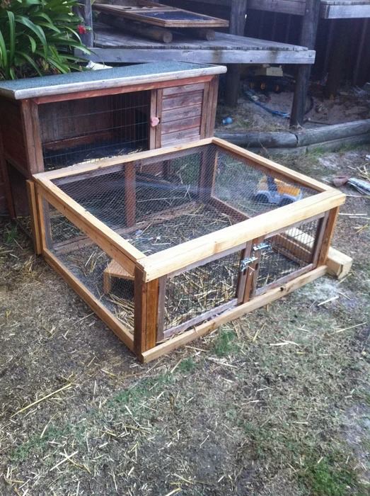 33. Guinea Pig Cage with Extension