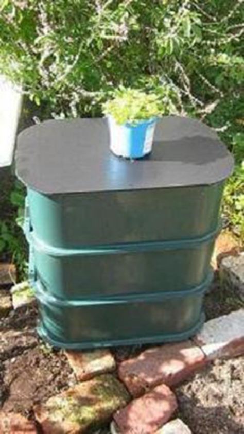 41. Plastic Worm Composter
