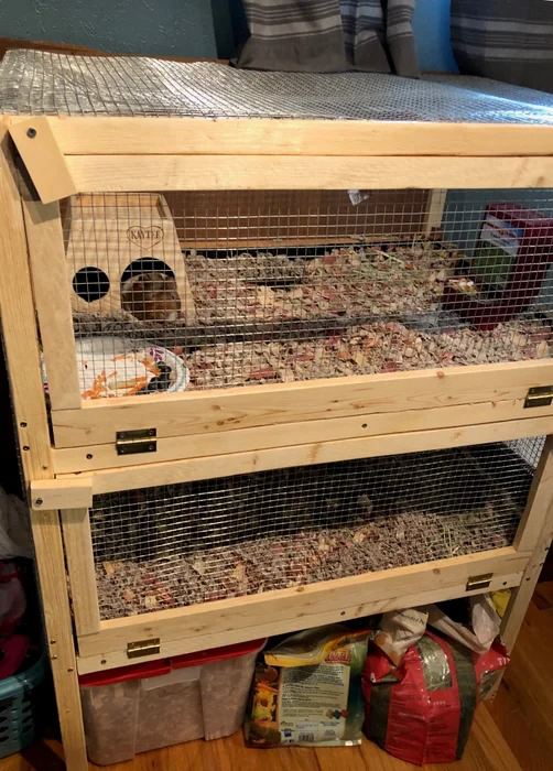44. Two-Level Guinea Pig Cage