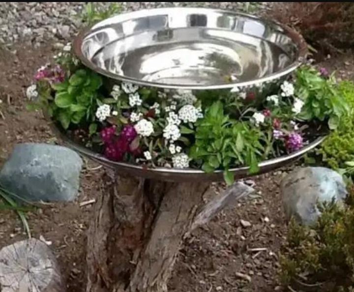 46. Steel Bowl Bird Bath