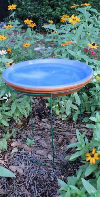 6. The Tomato Cage Bird Bath