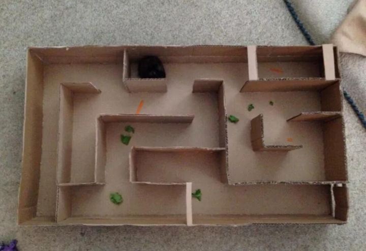 7. Cardboard Guinea Pig Cage