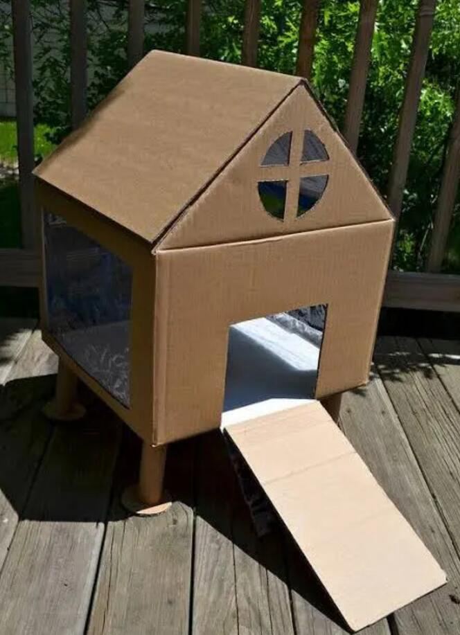 9. Elevated Cardboard Guinea Pig House